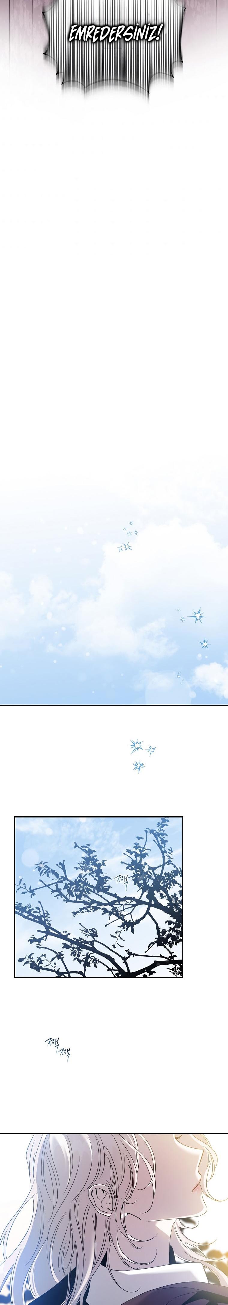 21-cm2xdfr0s0001tt82570od8ls