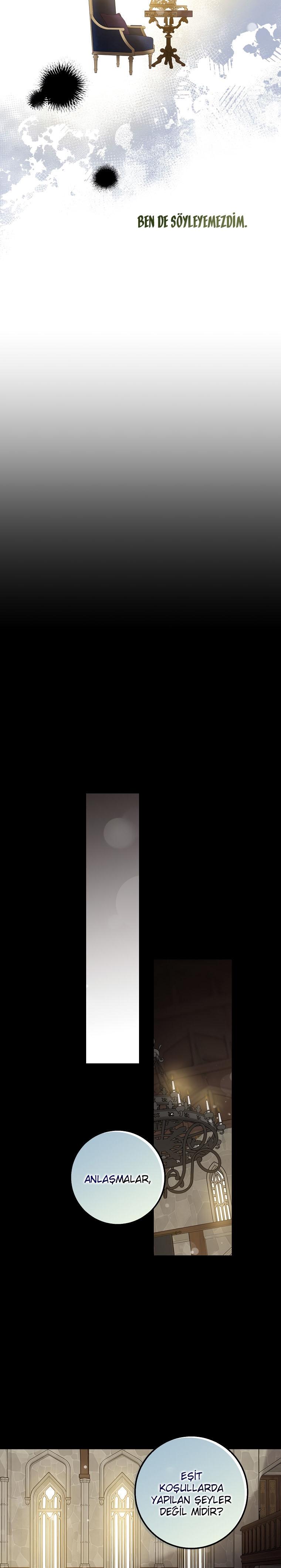 17-cm2xdfr0s0001tt82570od8ls