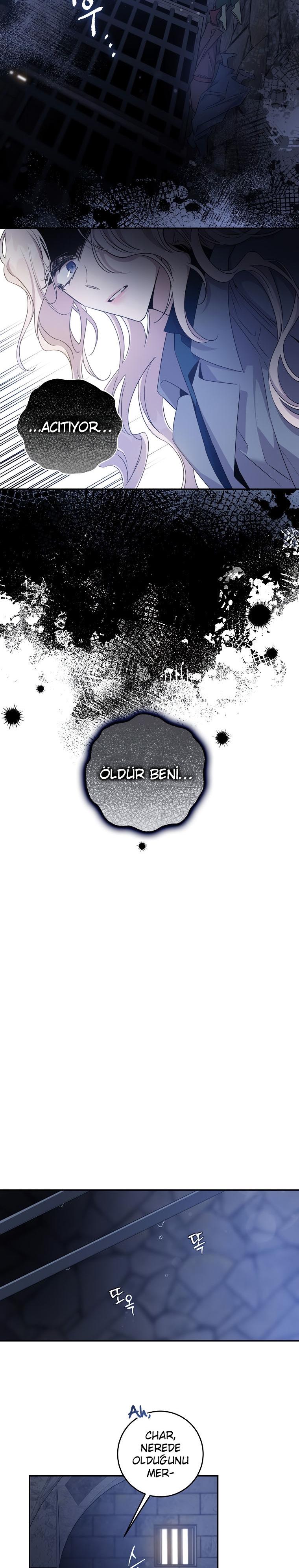 11-cm2xdfr0s0001tt82570od8ls