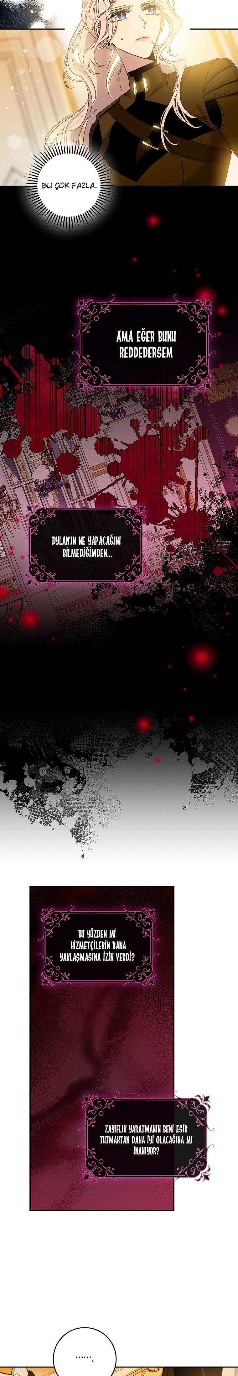 20-cm2xdfr0s0001tt82570od8ls