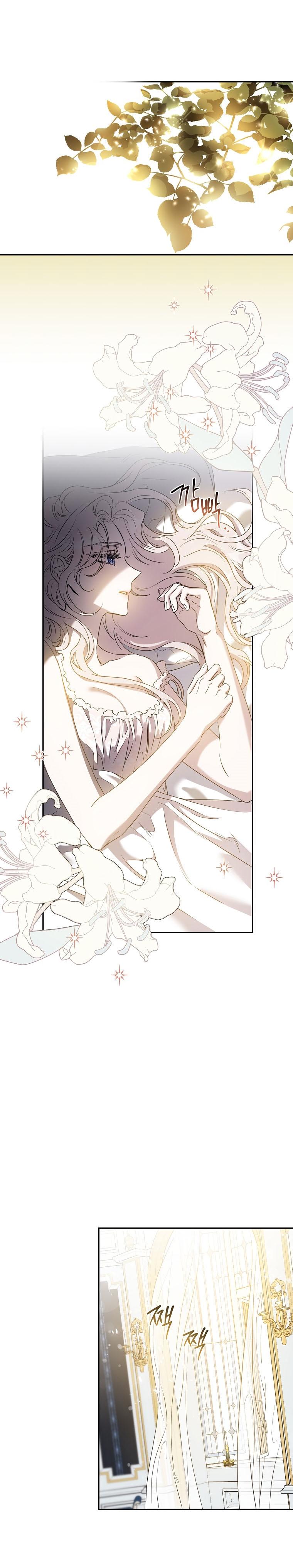6-cm2xdfr0s0001tt82570od8ls