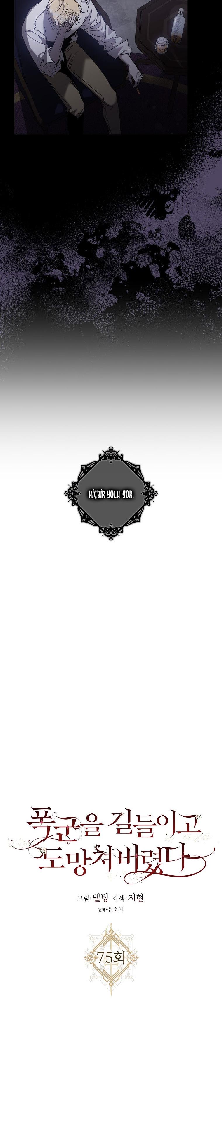 12-cm2xdfr0s0001tt82570od8ls