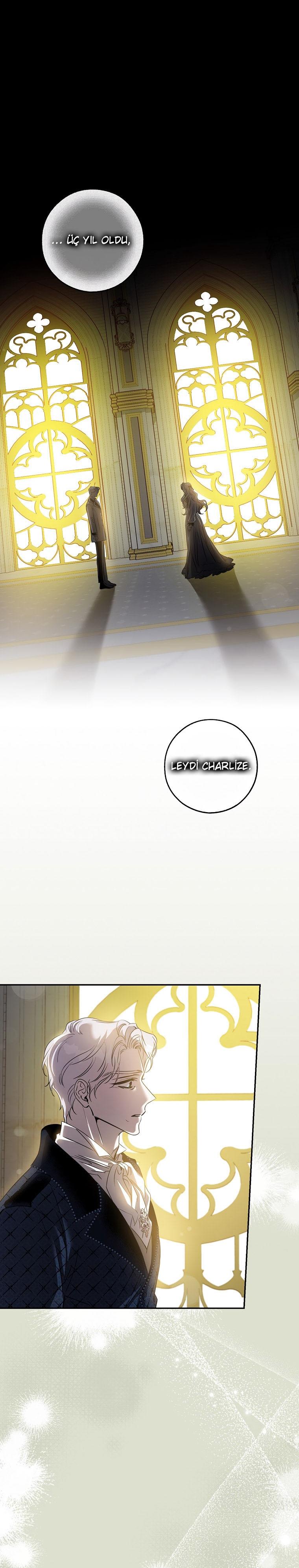 2-cm2xdfr0s0001tt82570od8ls