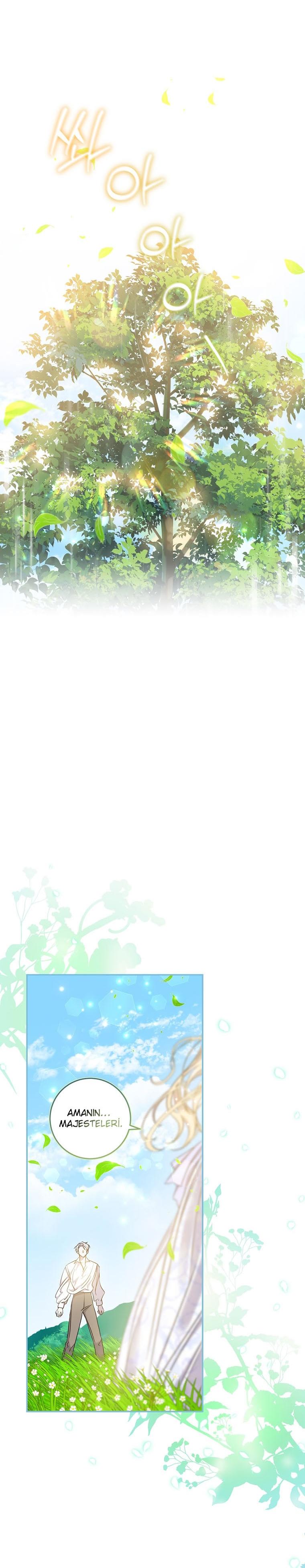 25-cm2xdfr0s0001tt82570od8ls