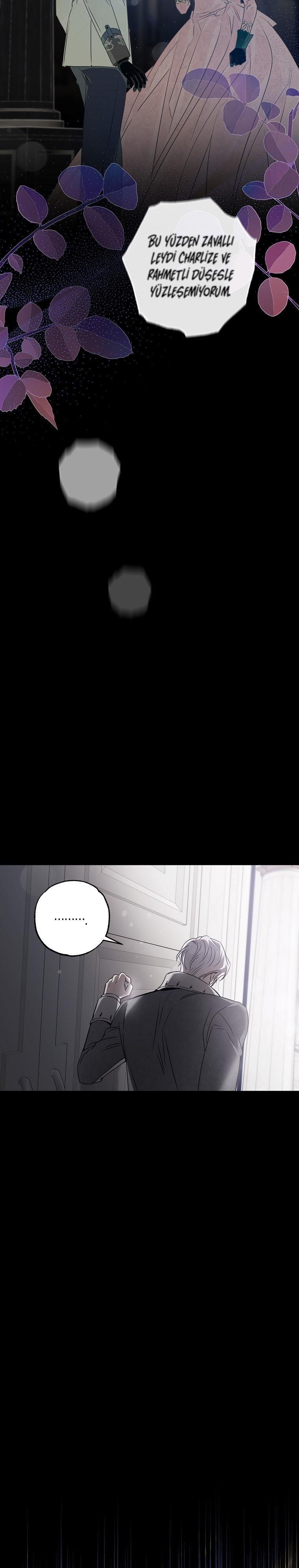 9-cm2xdfr0s0001tt82570od8ls