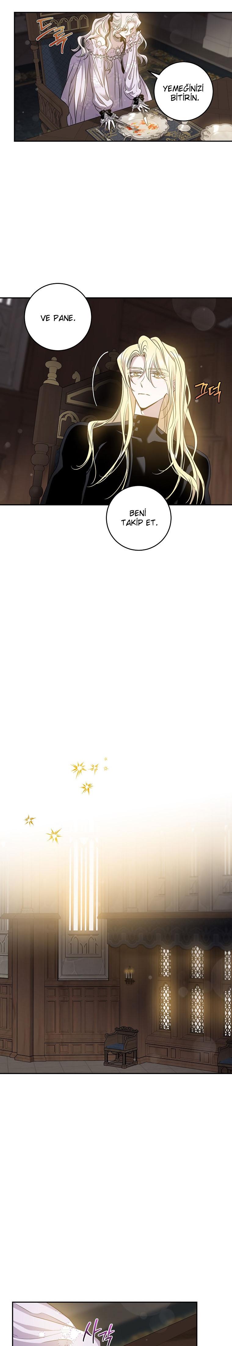 21-cm2xdfr0s0001tt82570od8ls