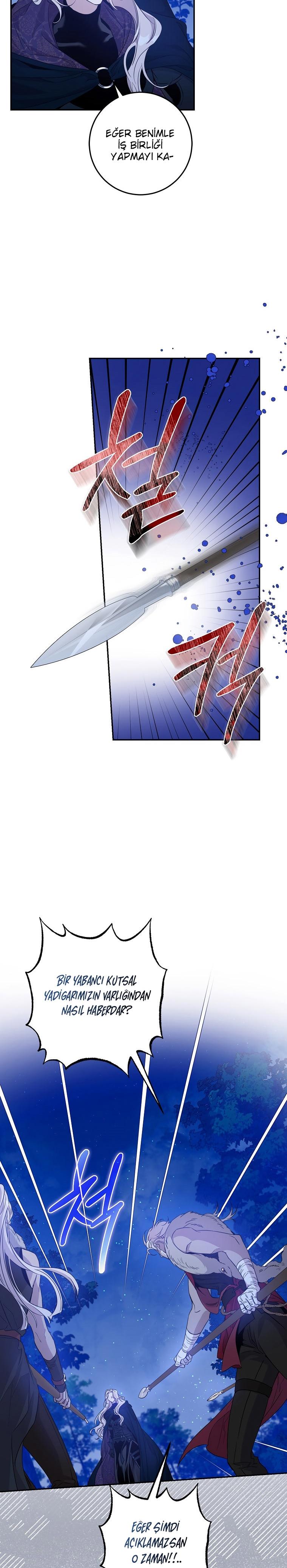22-cm2xdfr0s0001tt82570od8ls