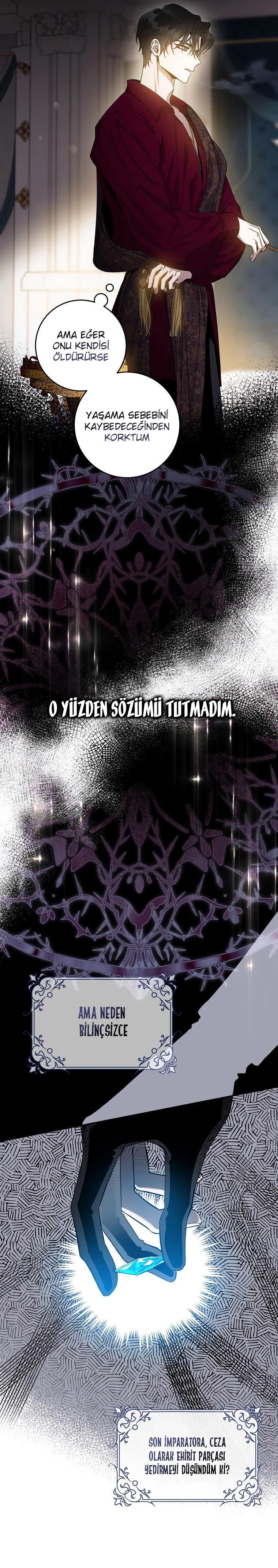 5-cm2xdfr0s0001tt82570od8ls