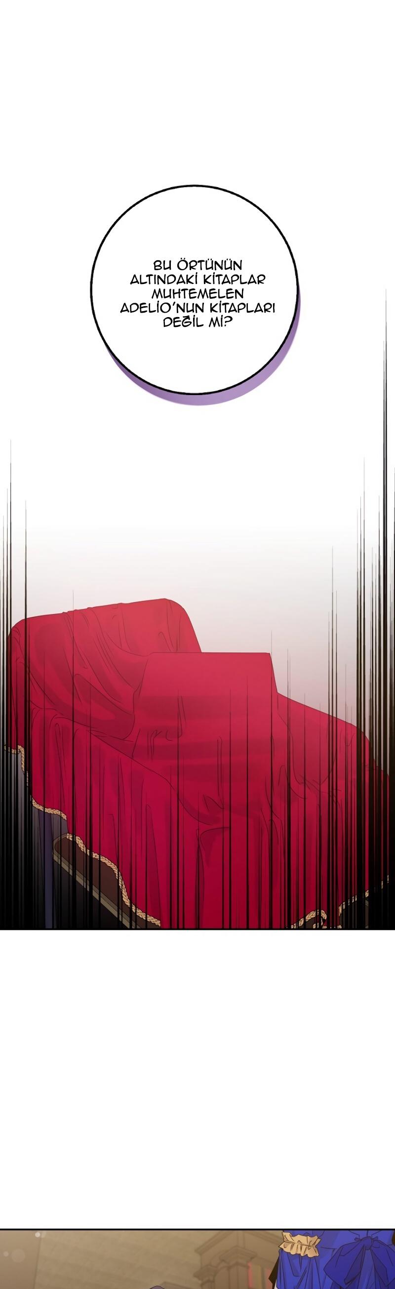 2-cm2xdfr0s0001tt82570od8ls