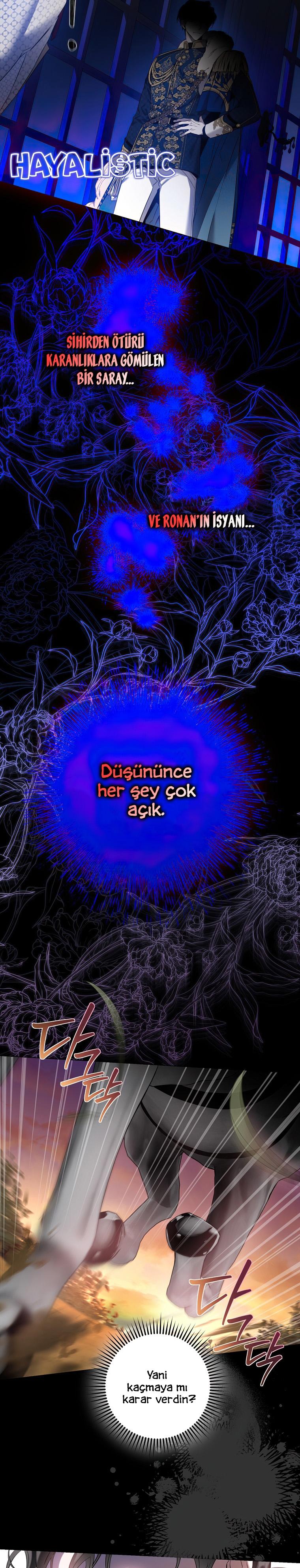 2-cm2xdfr0s0001tt82570od8ls