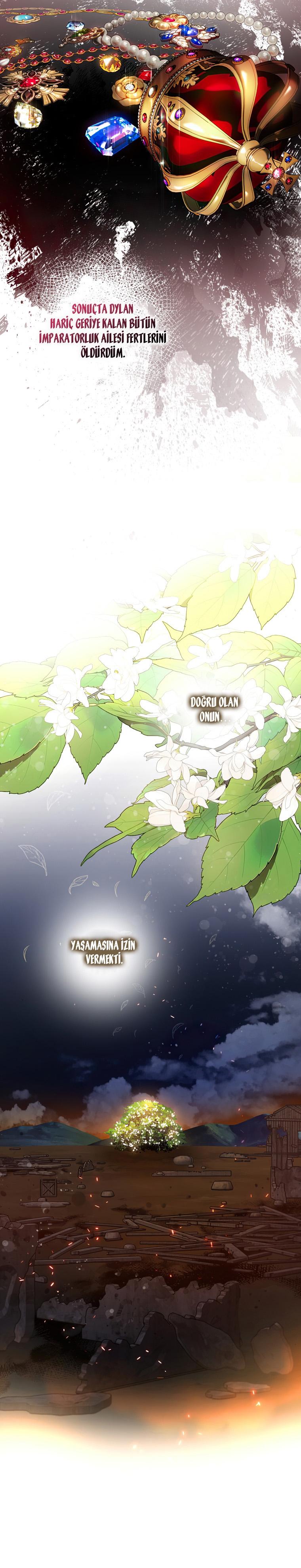 18-cm2xdfr0s0001tt82570od8ls