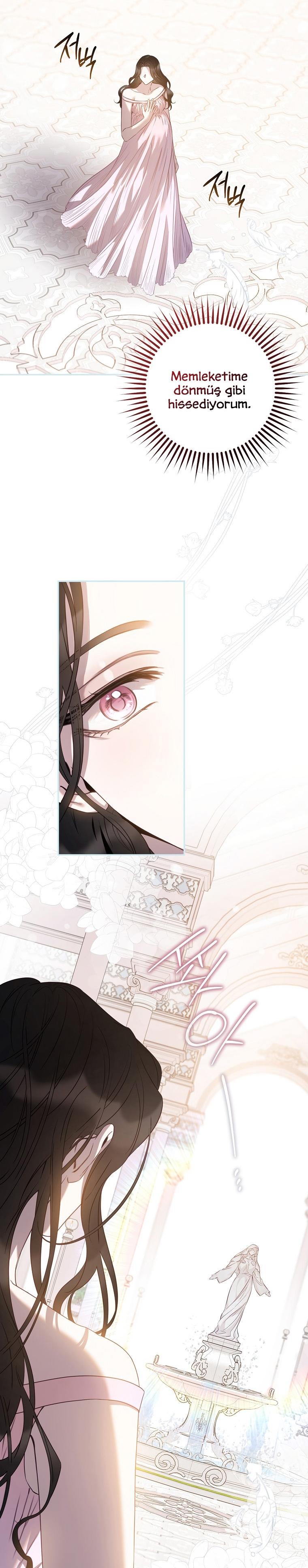24-cm2xdfr0s0001tt82570od8ls