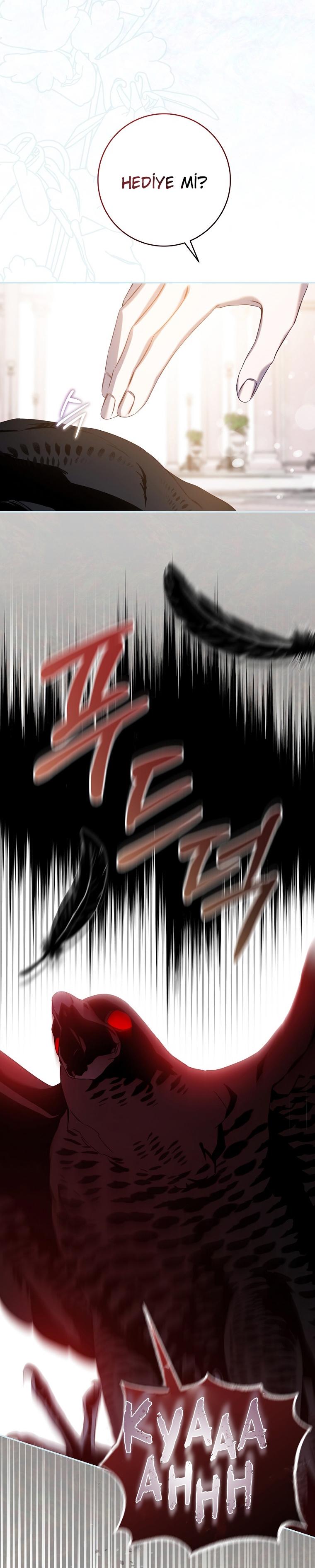 28-cm2xdfr0s0001tt82570od8ls