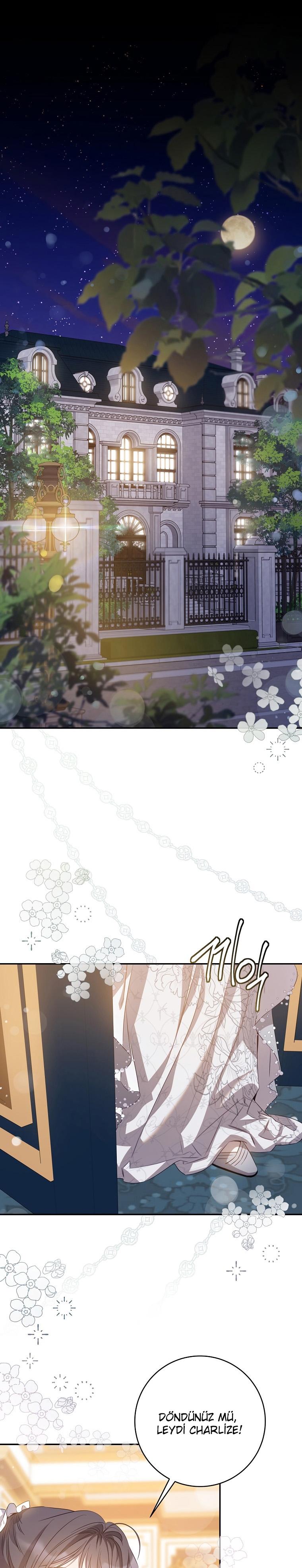 2-cm2xdfr0s0001tt82570od8ls