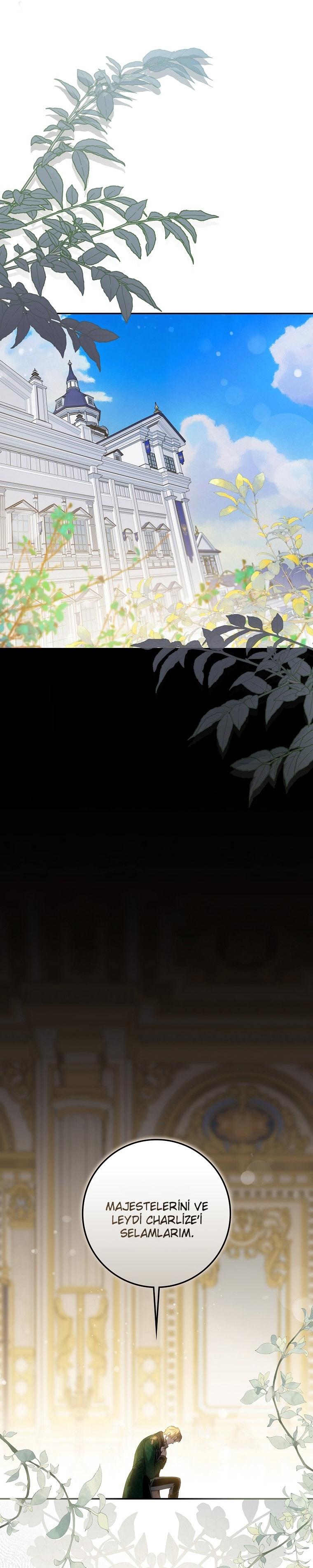 2-cm2xdfr0s0001tt82570od8ls