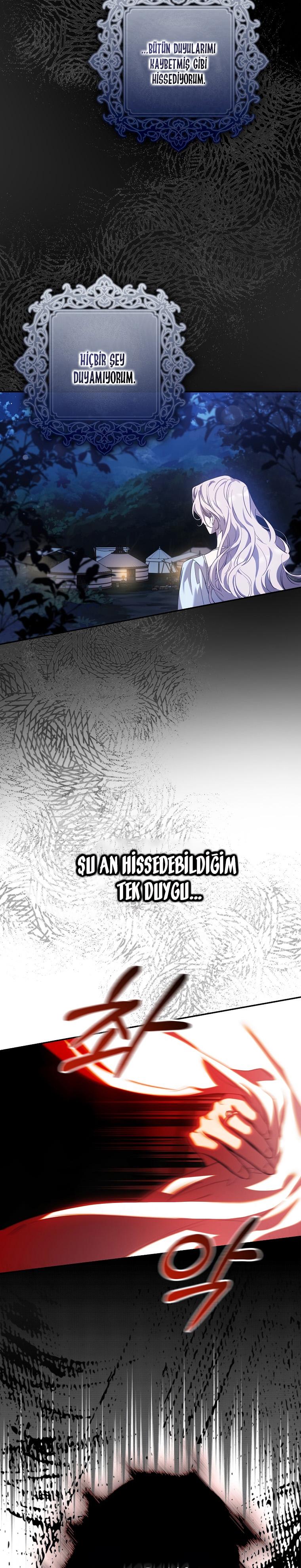 13-cm2xdfr0s0001tt82570od8ls