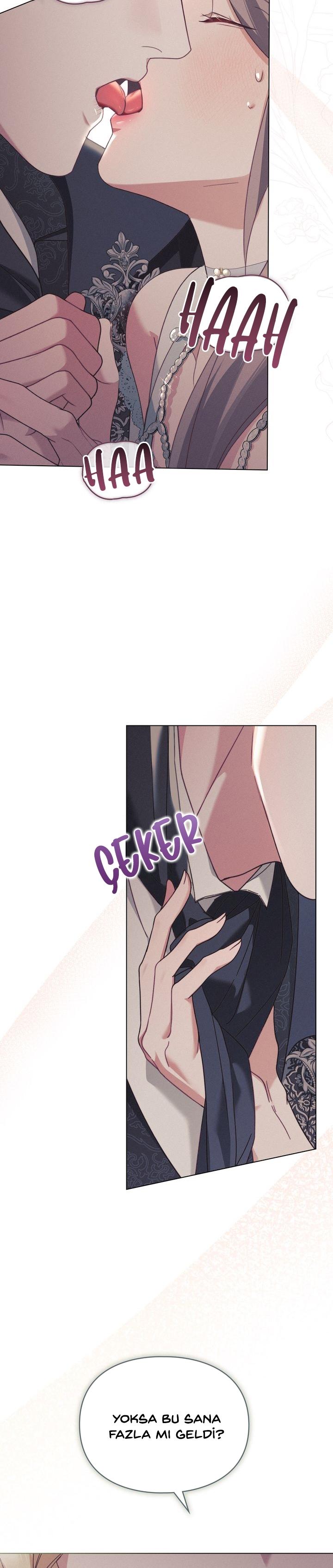 5-cm2xdfr0s0001tt82570od8ls