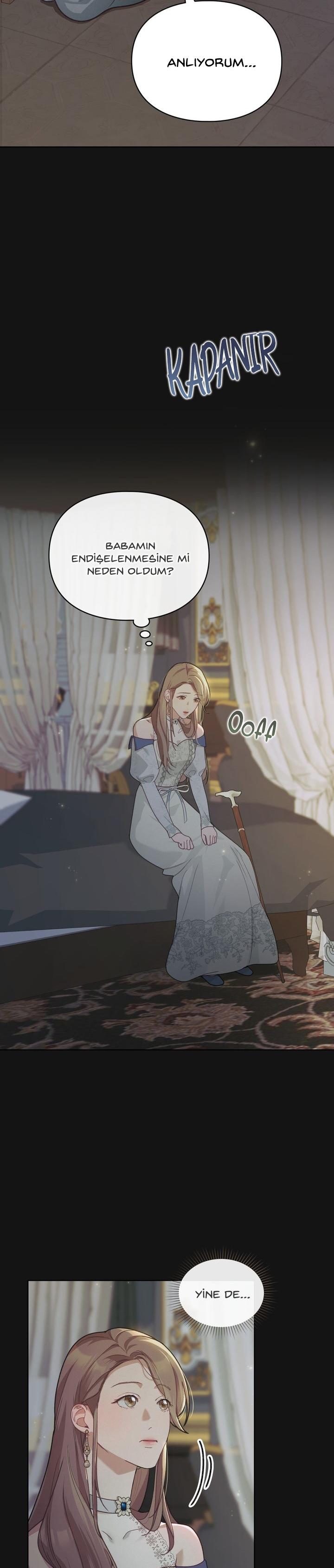 22-cm2xdfr0s0001tt82570od8ls