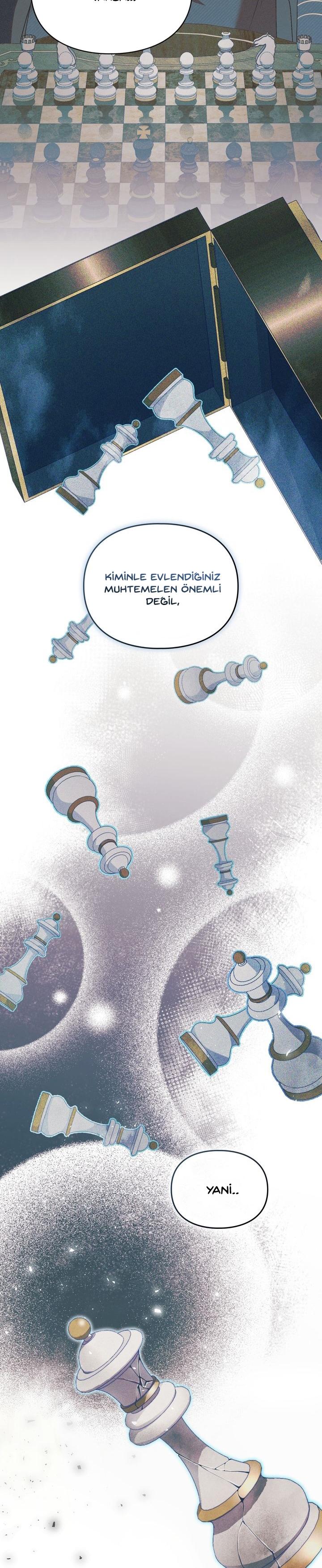 20-cm2xdfr0s0001tt82570od8ls