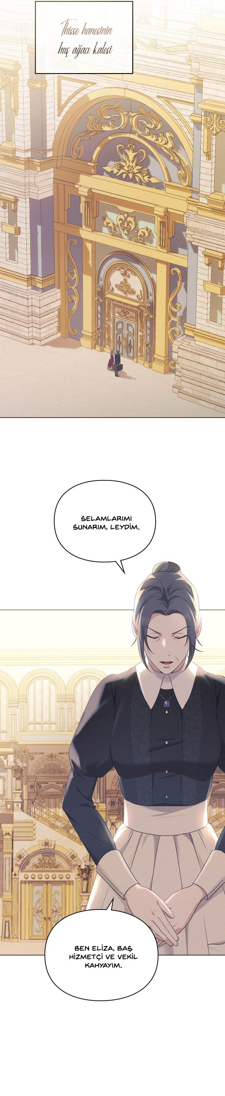 12-cm2xdfr0s0001tt82570od8ls