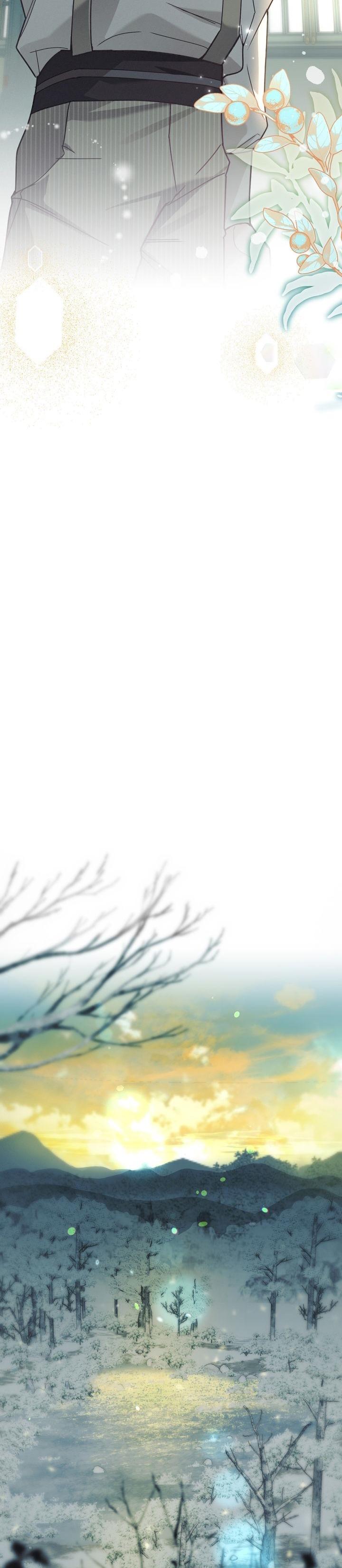 24-cm2xdfr0s0001tt82570od8ls
