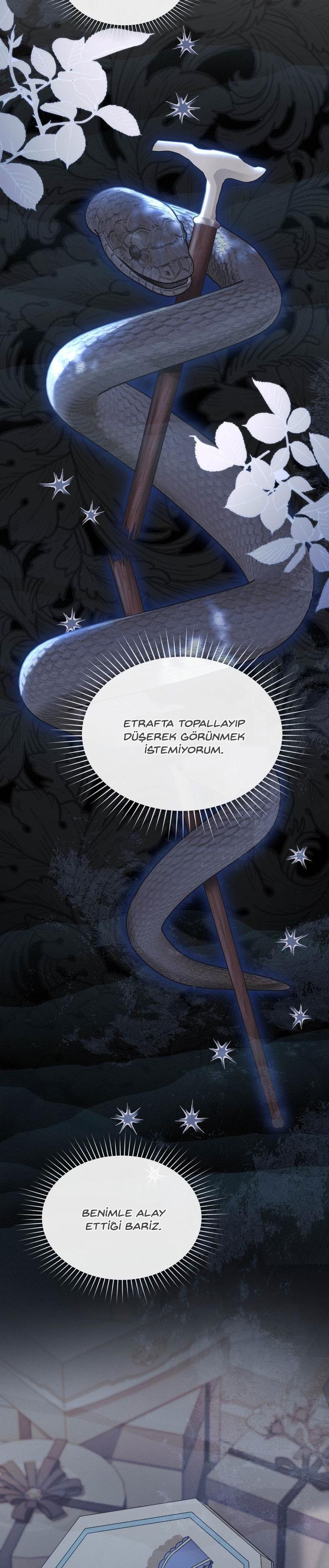 21-cm2xdfr0s0001tt82570od8ls