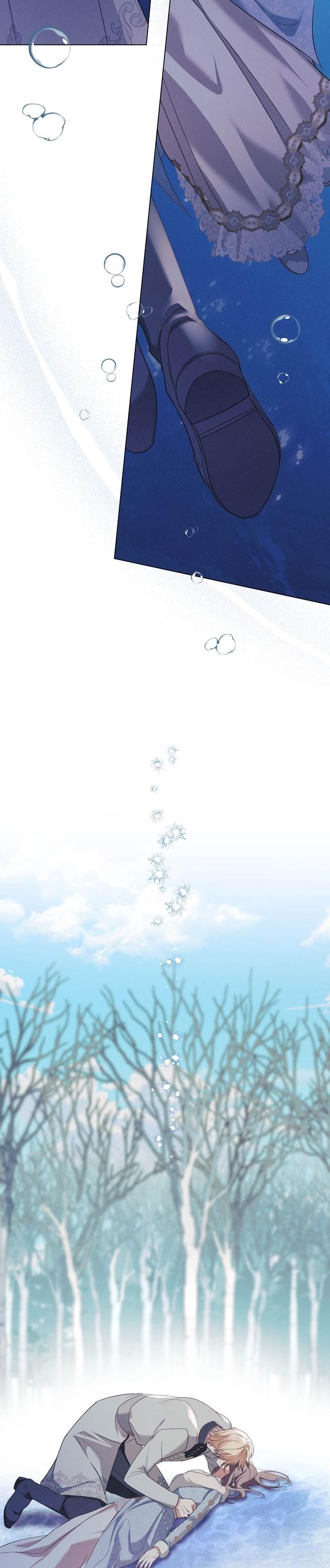 36-cm2xdfr0s0001tt82570od8ls
