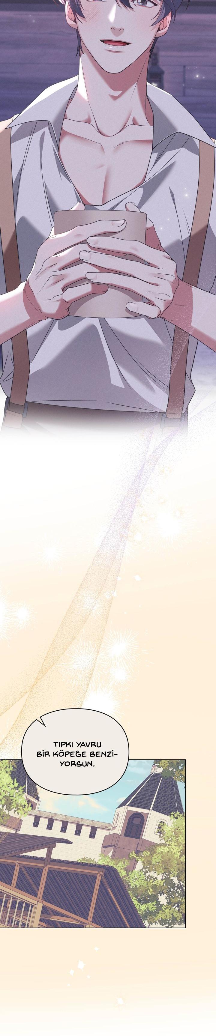 20-cm2xdfr0s0001tt82570od8ls