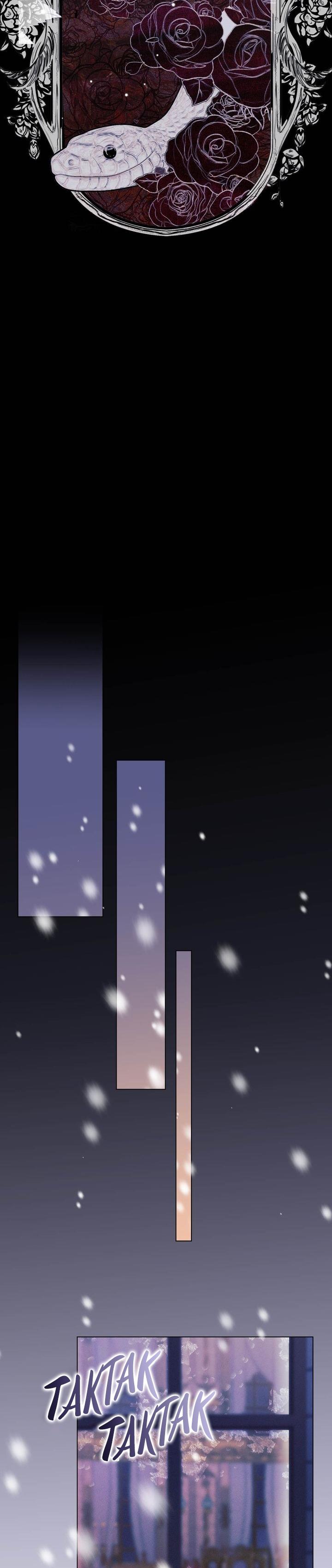 29-cm2xdfr0s0001tt82570od8ls
