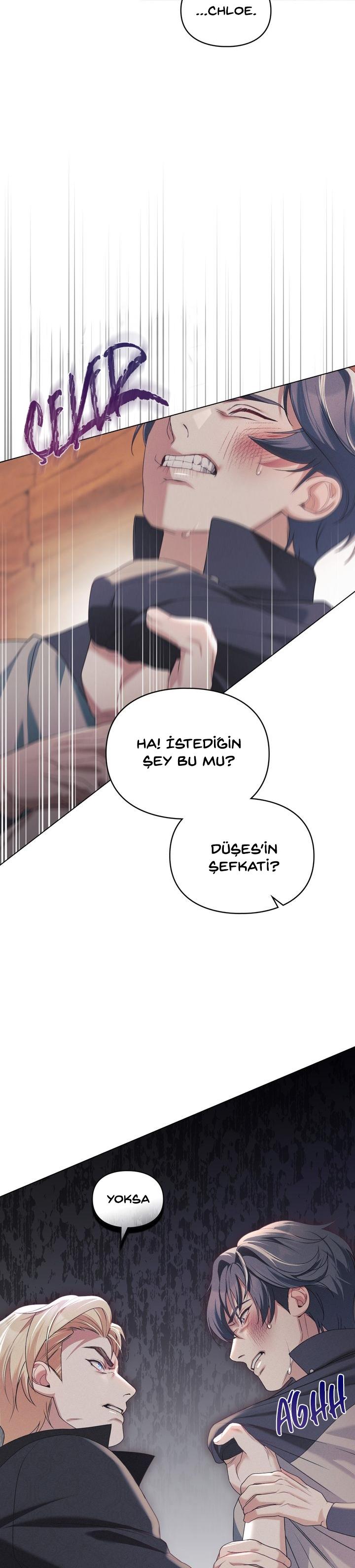 18-cm2xdfr0s0001tt82570od8ls