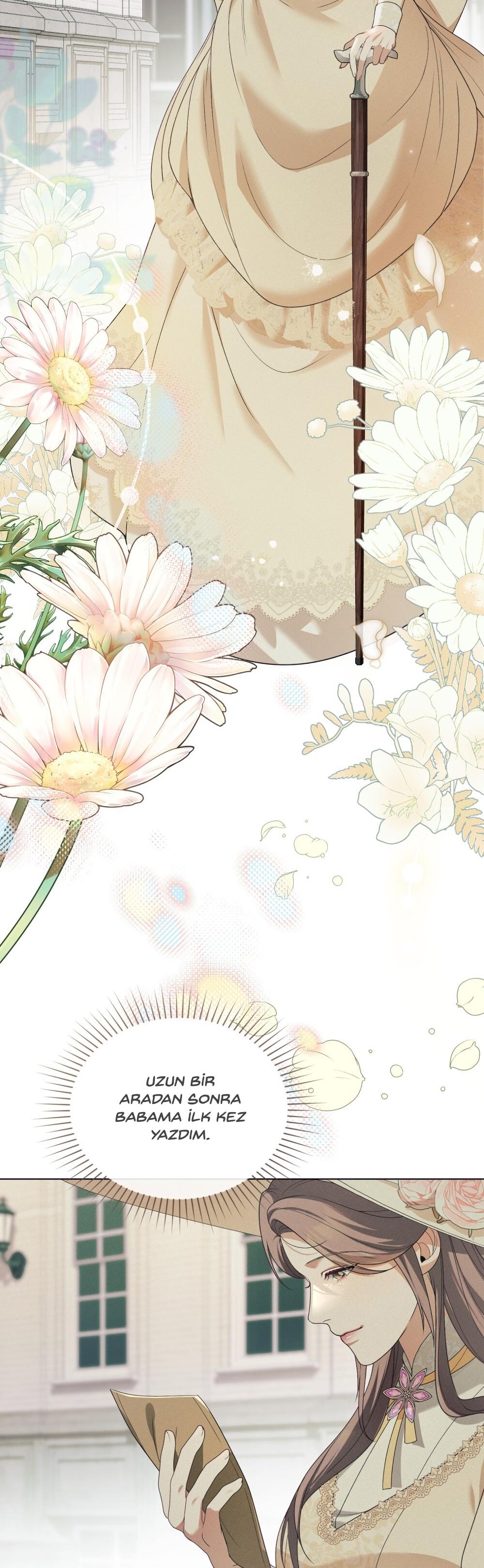 8-cm2xdfr0s0001tt82570od8ls