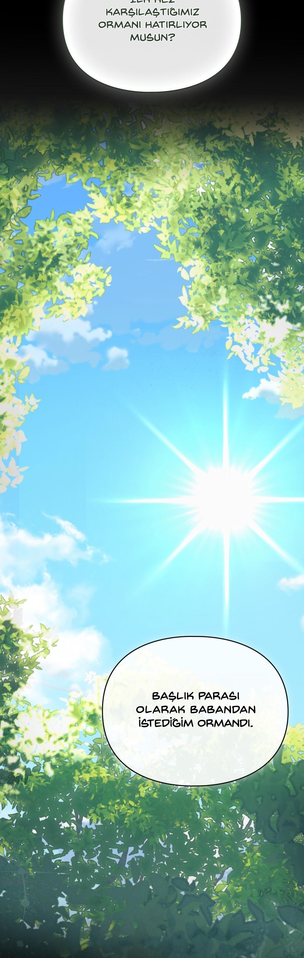 8-cm2xdfr0s0001tt82570od8ls