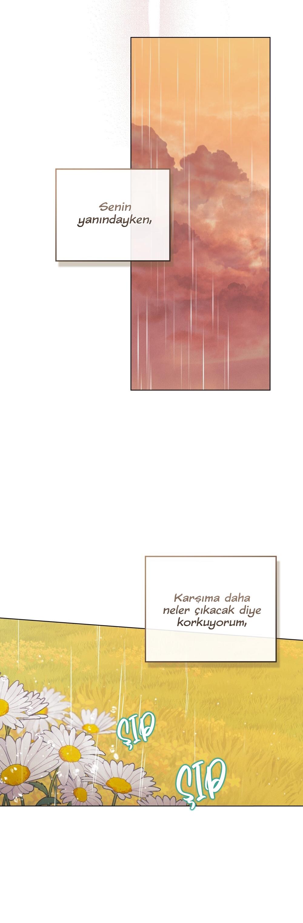 23-cm2xdfr0s0001tt82570od8ls