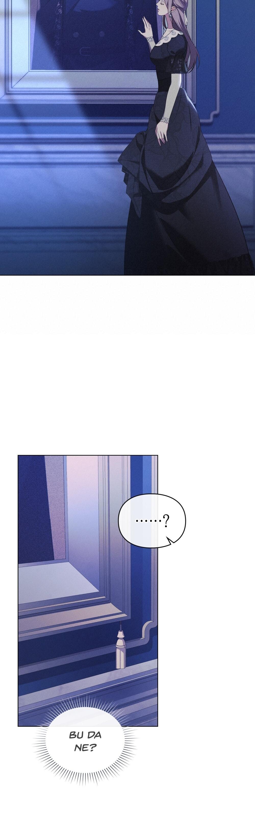 22-cm2xdfr0s0001tt82570od8ls