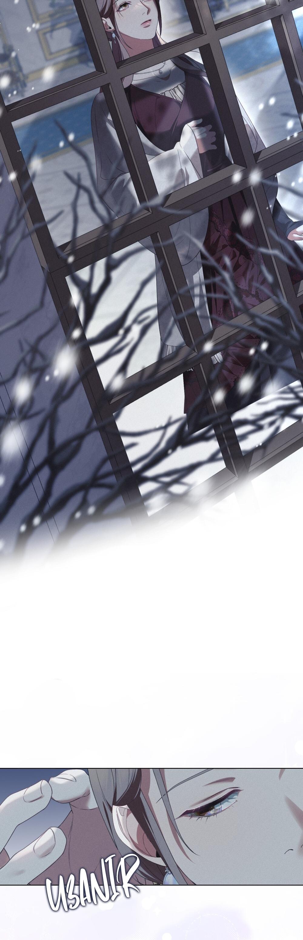 29-cm2xdfr0s0001tt82570od8ls