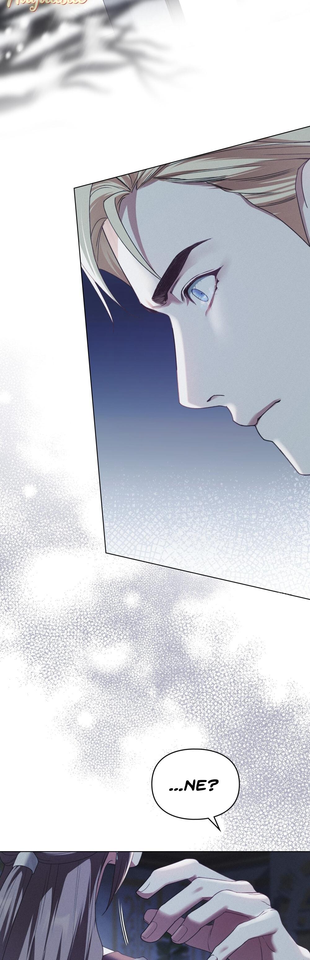 37-cm2xdfr0s0001tt82570od8ls