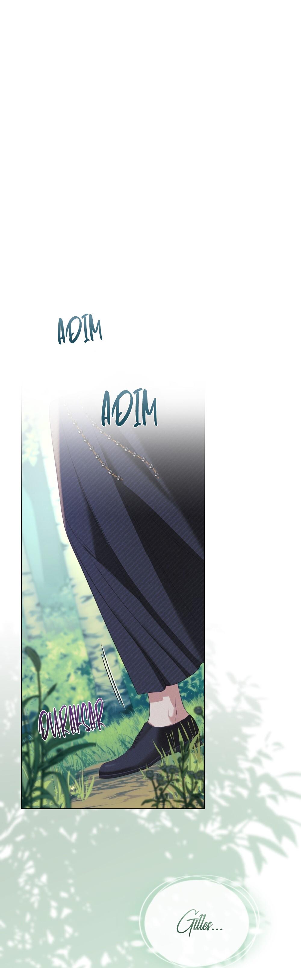24-cm2xdfr0s0001tt82570od8ls
