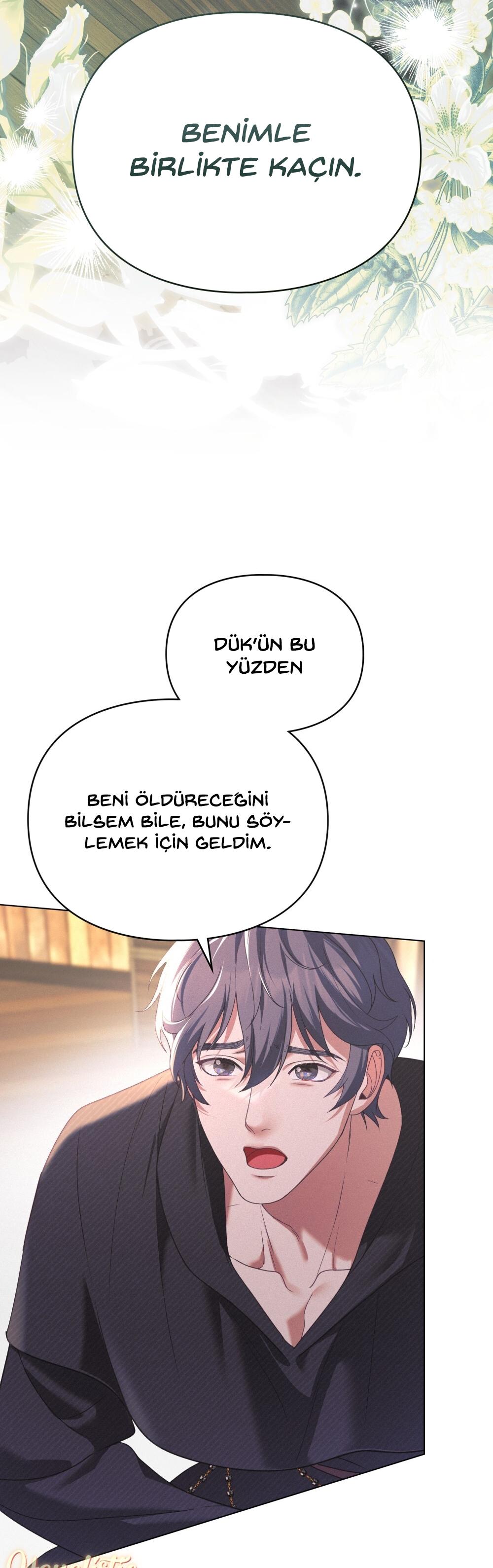 3-cm2xdfr0s0001tt82570od8ls