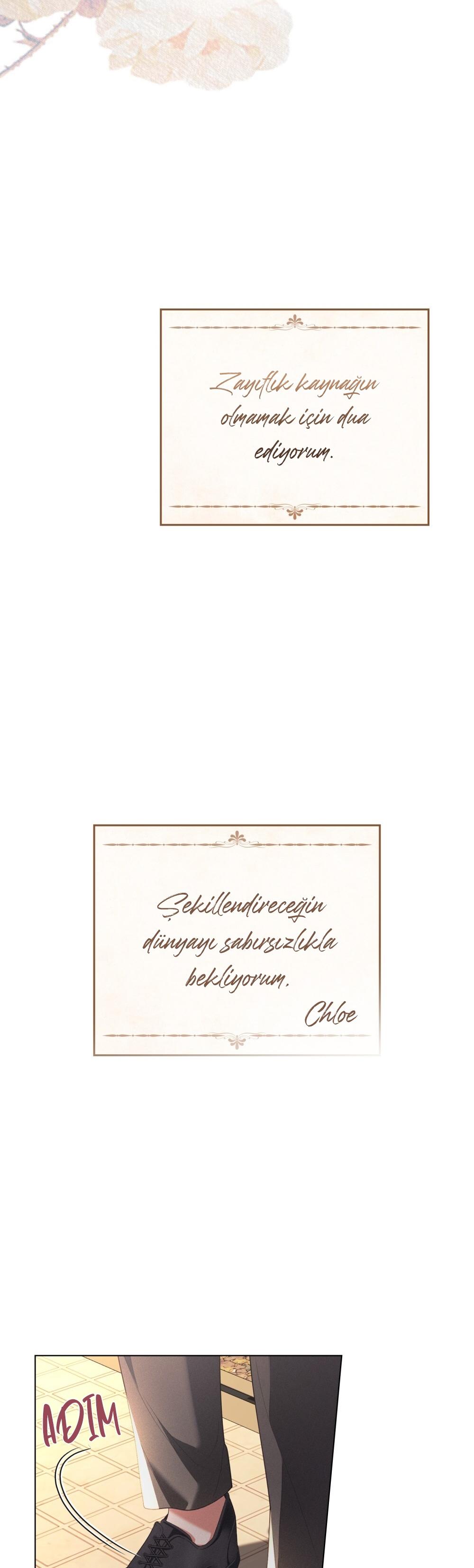 36-cm2xdfr0s0001tt82570od8ls