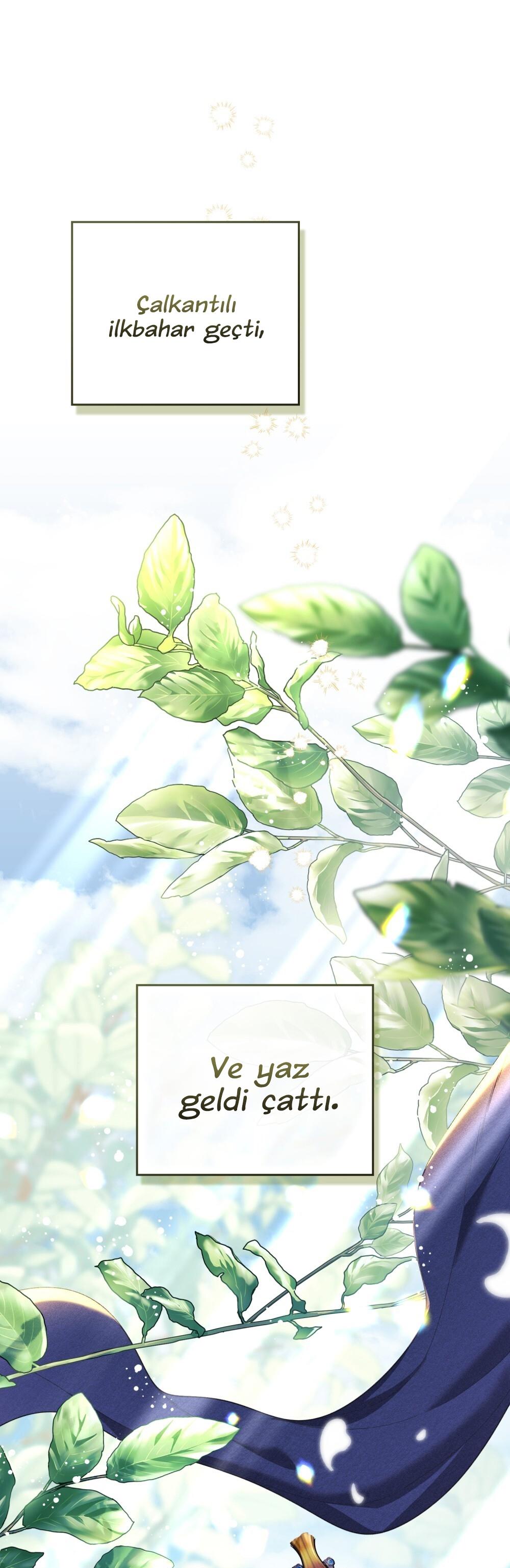 2-cm2xdfr0s0001tt82570od8ls