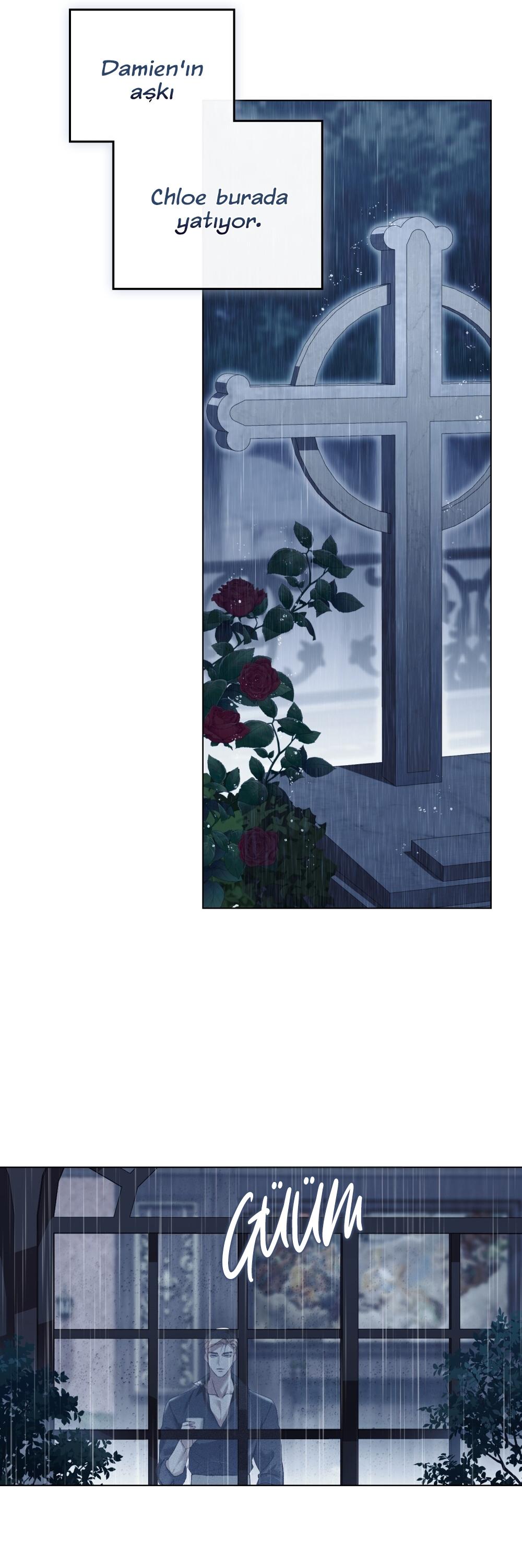 25-cm2xdfr0s0001tt82570od8ls