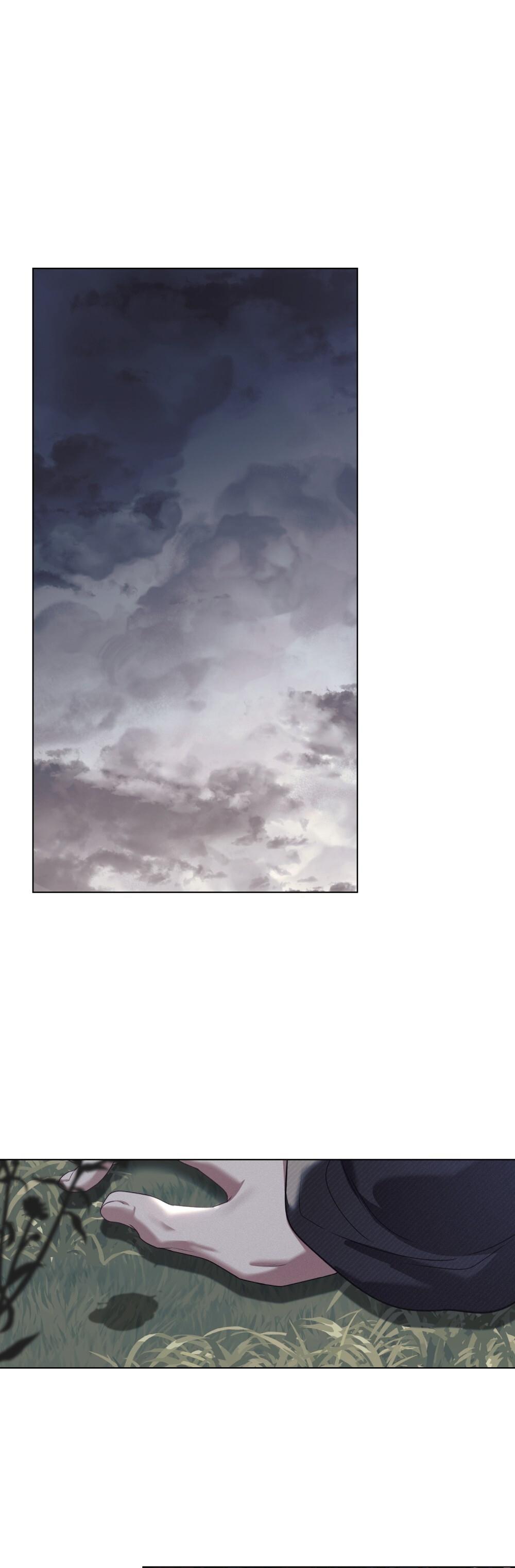 30-cm2xdfr0s0001tt82570od8ls