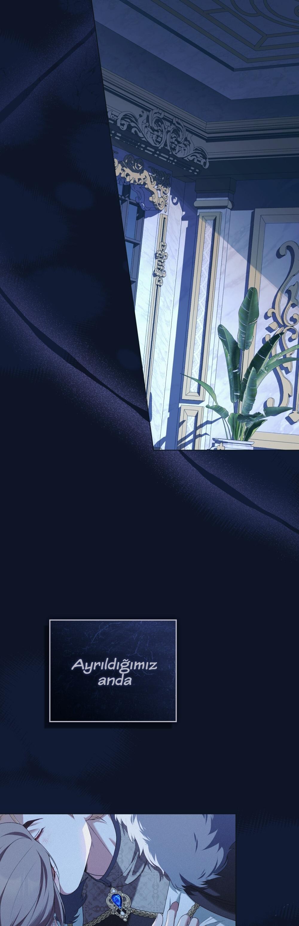 36-cm2xdfr0s0001tt82570od8ls