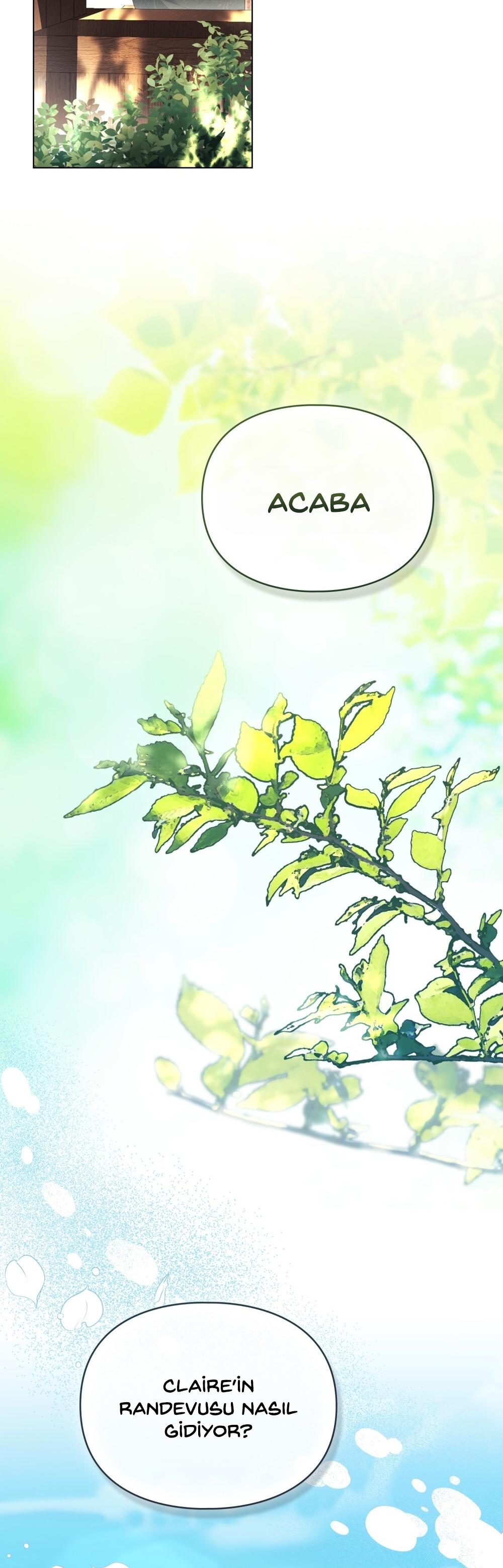 13-cm2xdfr0s0001tt82570od8ls