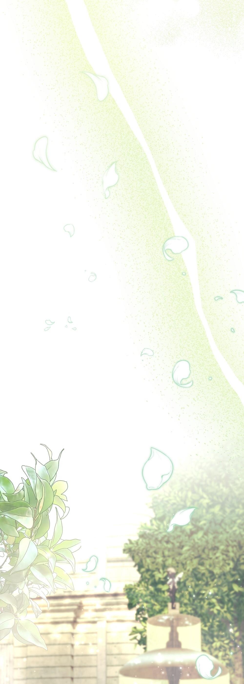 29-cm2xdfr0s0001tt82570od8ls
