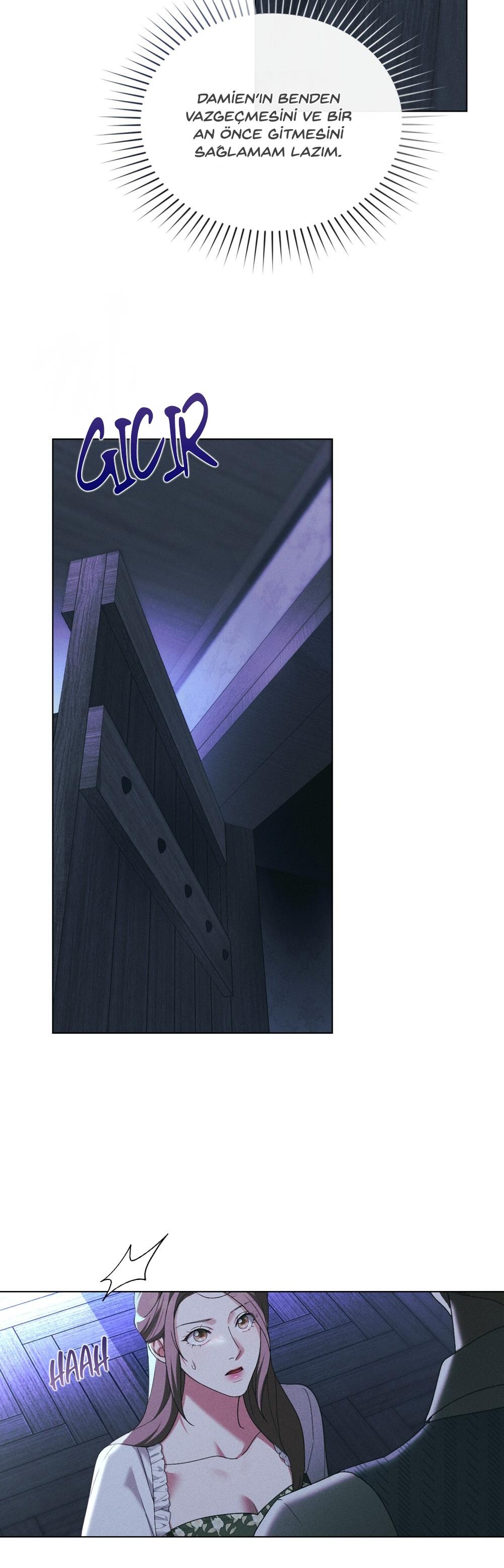 22-cm2xdfr0s0001tt82570od8ls