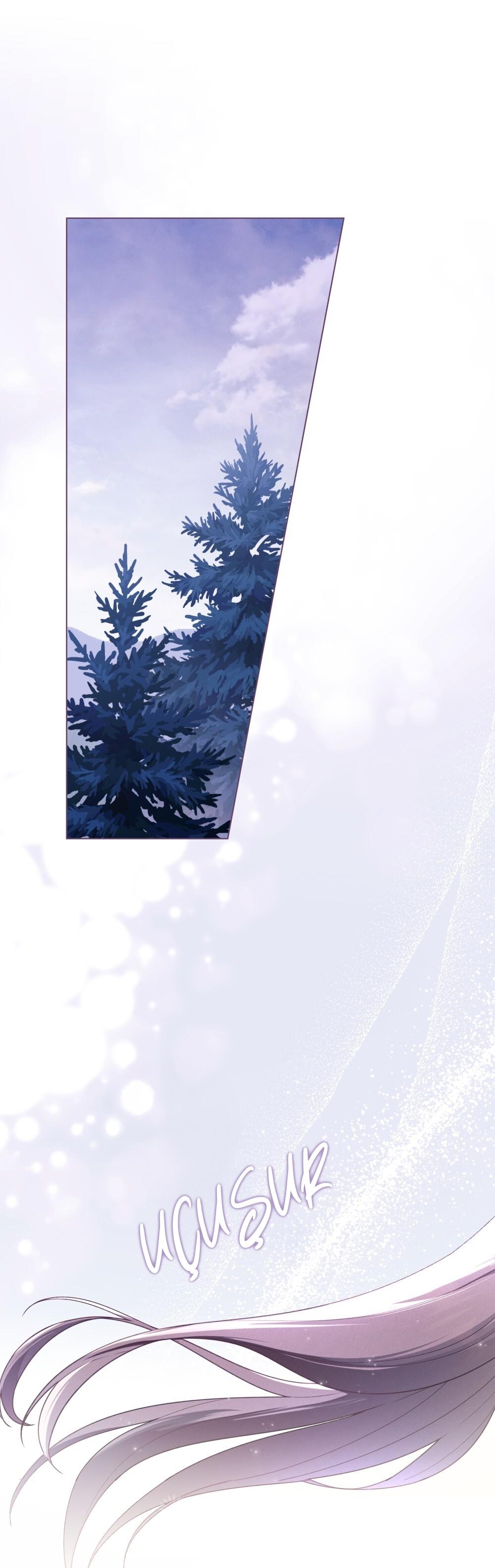 2-cm2xdfr0s0001tt82570od8ls