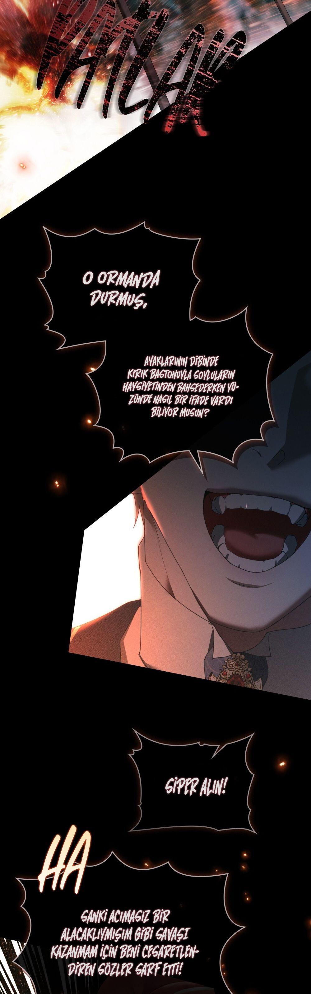 12-cmnq2268807i4ucwa0pciz3a1