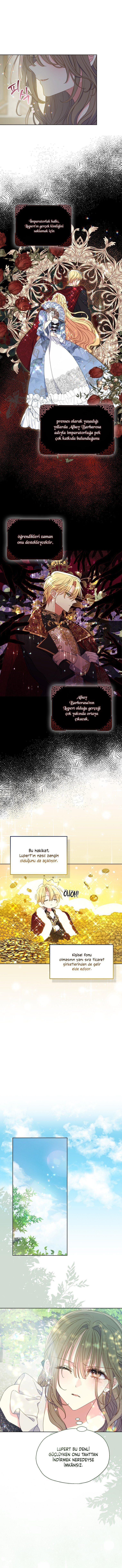 2-cmnq2268807i4ucwa0pciz3a1