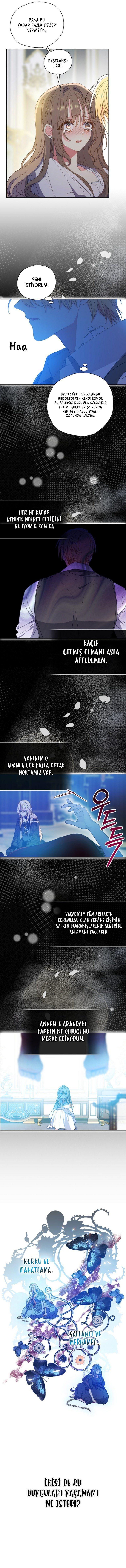 4-cmnq2268807i4ucwa0pciz3a1